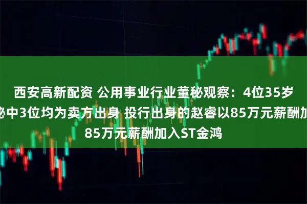西安高新配资 公用事业行业董秘观察：4位35岁以下的董秘中3位均为卖方出身 投行出身的赵睿以85万元薪酬加入ST金鸿