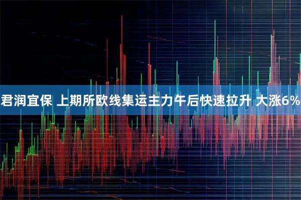 君润宜保 上期所欧线集运主力午后快速拉升 大涨6%