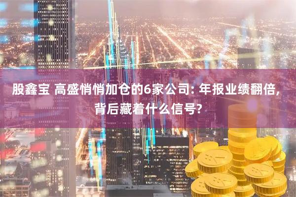 股鑫宝 高盛悄悄加仓的6家公司: 年报业绩翻倍, 背后藏着什么信号?