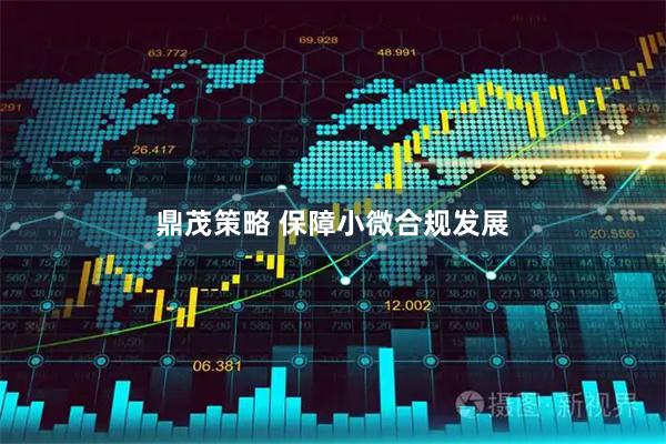 鼎茂策略 保障小微合规发展